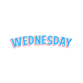 WEDNESDAY STICKER Premium Vinyl Sticker