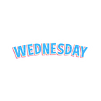 WEDNESDAY STICKER Premium Vinyl Sticker