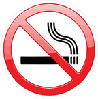 NO SMOKING STICKER Premium Vinyl Sticker