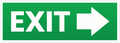 EXIT STICKER Premium Vinyl Sticker