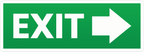 EXIT STICKER Premium Vinyl Sticker