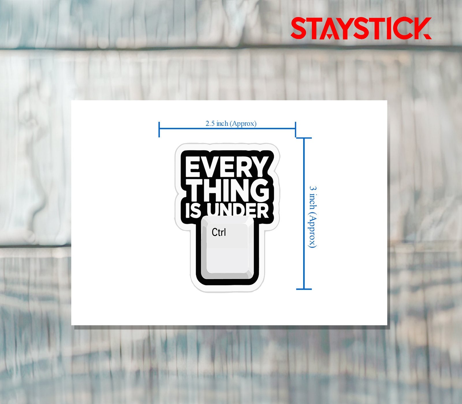 CTRL LIFE STICKER Premium Vinyl Sticker